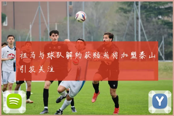 祖马与球队解约获赔或将加盟泰山引发关注