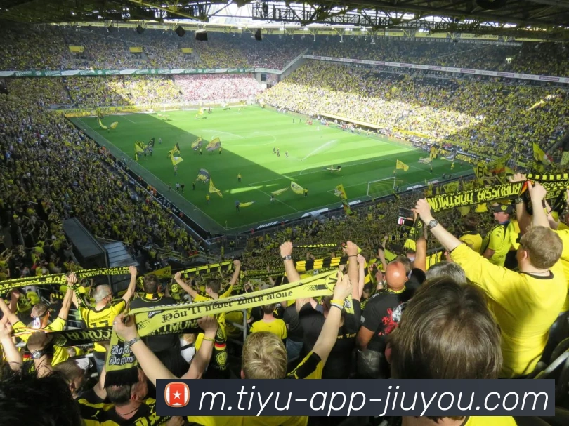 App Interface Preview